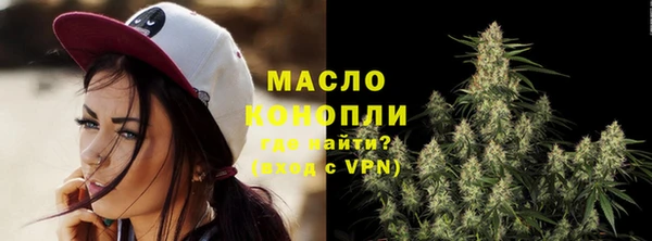 индика Навашино