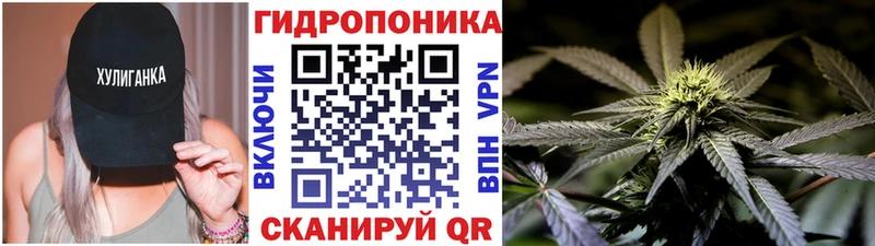 Конопля OG Kush  Клинцы 